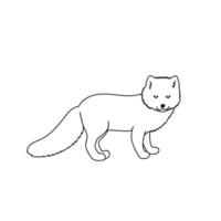 Outline Illustration of Arctic Fox Animal Isolated on White Background vector