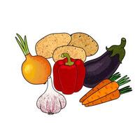 Colorful Illustration of Set of Vegetables for Stew Isolated on White Background vector
