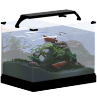 3d render aquarium with fish with transparent background png