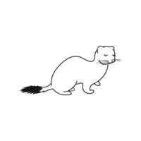 Outline Illustration of Ermine Isolated on White Background vector