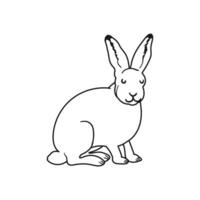 Outline Illustration of Polar Hare Isolated on White Background vector