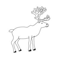 Outline Illustration of Polar Deer Isolated on White Background vector