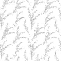 Floral seamless pattern with Lavender. Lavender background. Eco background. Lavender hand drawn line art design. Elegant seamless background minimalist style vector