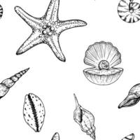 Seamless pattern with opened oyster seashell with pearl, stars, beautiful shells. Hand painted line, Graphic clip art isolated on background. Underwater illustration. For designers, invitations vector