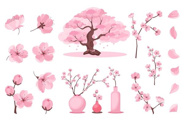 Sakura blossom set in flat cartoon design. Collection graphic elements with soft pink flower heads, petals, buds on branches, blooming cherry tree, springtime bouquets in vases. illustration.