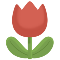 a red tulip on a transparent background png