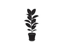 Isolated Rubber Plant in Pot Silhouette Botanical Rubber Plant Icon Design vector