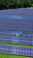 Solar panel farm on green nature background. Solar power station on field in sunny day. Solar panels in rows for power production. Alternative energy sources. Aerial view. Vertical video