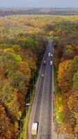 Road in the middle of beautiful forest in fall. Trucks and cars driving in both sides on the highway on beautiful nature background. Aerial view. Vertical video