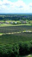 Solar farm in the countryside. Large solar power station with blue sunny batteries on field. Alternative source of sustainable energy. Aerial view. Vertical video