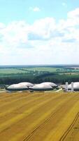 Modern bio farm surrounded by green nature. Innovative agriculture reservoirs for bio gas production on field in summer. Aerial view. Vertical video