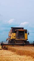 Modern combine harvester working in the field. Farmer gets on a combine. Combine machine is gathering ripe wheat. Season of gathering crops. Rye and barley. Vertical video