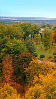 Multi-colored trees swaying in the wind in the city park. Beautiful nature in autumn season from aerial view. Vertical video