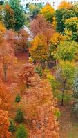 Beautiful multi-colored trees in the city park in autumn. Multi-storied buildings at backdrop. Aerial perspective. Vertical video