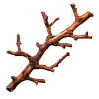 Rustic Brown Tree Branch with Twisted Texture Isolated on png