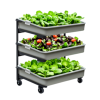 Vertical Garden with Fresh Salads and Greens on Mobile Cart Display png