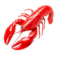 Vibrant Red Lobster in High-Resolution Studio Setting for Culinary Use png