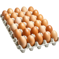 Fresh Brown Eggs in Carton Shining Under Natural Light for Culinary Use png