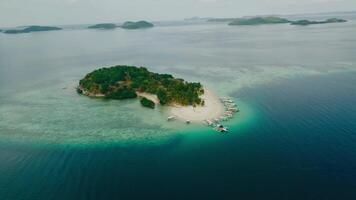 Overhead drone shot of a small tropical paradise with dense foliage and pristine ocean views. video