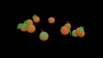 A group of rotating oranges with green leaves are displayed together on a transparent background video