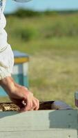 Beekeeper in protective workwear inspecting honeycomb frame at apiary. Beekeeping concept. Beekeeper harvesting honey Vertical video