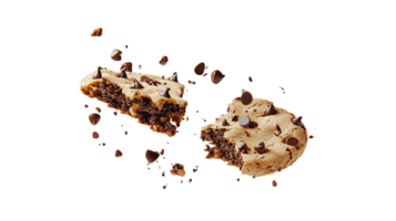 Chocolate chip cookie pieces, isolated on transparent background png