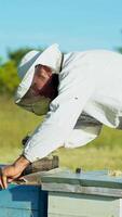 Beekeeper is working with bees and beehives on the apiary. Beekeeper gets a frame with honey. Fumigation machine for bees, smoke Vertical video
