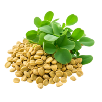 Fenugreek Spice And Leaves Transparent Background png