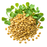Dried Fenugreek Seeds Transparent Background png