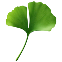Free Isolated on Transparent Background, vibrant green leaf showcases intricate veins and unique shape png