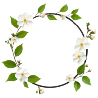 Free Isolated on Transparent Background, beautiful white flower frame adorned with vibrant leaves creates lovely natural design png