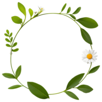 Free Isolated on Transparent Background, beautiful flower and leaf frame creates perfect natural decoration for any occasion png