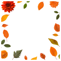 Free Isolated on Transparent Background, vibrant flower and colorful leaves create beautiful frame that enhances any design png