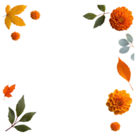 Free Isolated on Transparent Background, Bright orange flowers and vibrant leaves create beautiful frame filled with nature charm and warmth png
