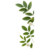 Free Isolated on Transparent Background, Beautiful flower and leaf frame creates serene and natural atmosphere png