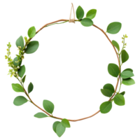 Free Isolated on Transparent Background, beautiful frame made of green leaves and delicate flowers creates serene atmosphere png