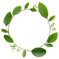 Free Isolated on Transparent Background, beautiful frame of green leaves and delicate flowers creates serene atmosphere png