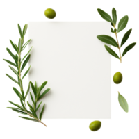 Free Isolated on Transparent Background, beautiful frame of fresh leaves and olives surrounds blank canvas inviting creativity and inspiration png