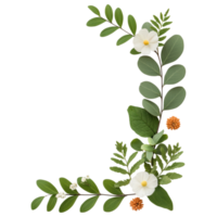 Free Isolated on Transparent Background, beautiful arrangement of flowers and leaves creates lovely frame for any design png