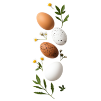 Free Isolated on Transparent Background, Fresh eggs arranged beautifully with flowers and leaves create perfect easter frame for spring png