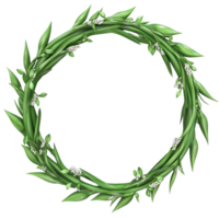 Healthy Asparagus Frame Transparent Background png