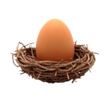 Eggs in a nest isolated on transparent background png