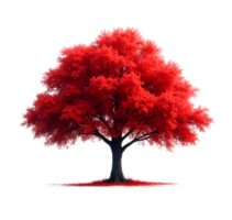 Red tree isolated on transparent background. png