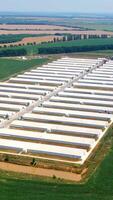 Modern farm on the background of agriculture fields. Contemporary white barn houses situated on green field at sunlight. Aerial view. Vertical video