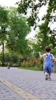 Rear view of a toddler boy catching up with his ball. Child on the walk in beautiful park in summer. Vertical video