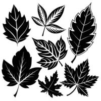 Vibrant Silhouettes of Multicolored Autumn Leaves vector