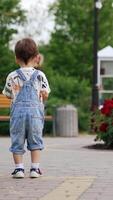 One year old toddler stands in the park holding soap bubbles bottle. Kid goes to a beautiful rose bed and puts the bottle there. Vertical video
