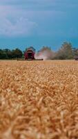 Harvesting machinery at seasonal works. Industrial equipment in farmland. Combine harvester gathering crop. Concept of agronomy and harvesting. Food industry. Vertical video