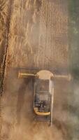 Yellow landscapes harvesting by big combine. Huge agricultural combine gathering crops. Vertical video