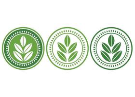 Minimalist Green Leaves Symbol, Isolated, Round Shape With Decorative Border Elements vector